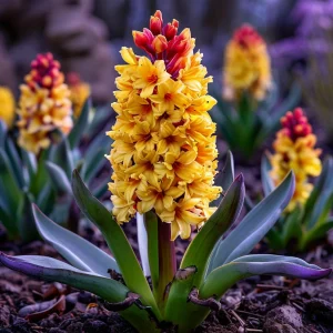 Гиацинт Миднайт Мистери купить по цене от 2099р. в интернет-магазине «Посадика» с доставкой почтой в в Петров Вале и по всей России – [изображение №1].